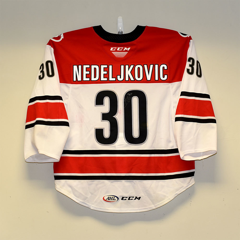 The Detroit Red Wings and Alex Nedeljkovic Jersey Elite